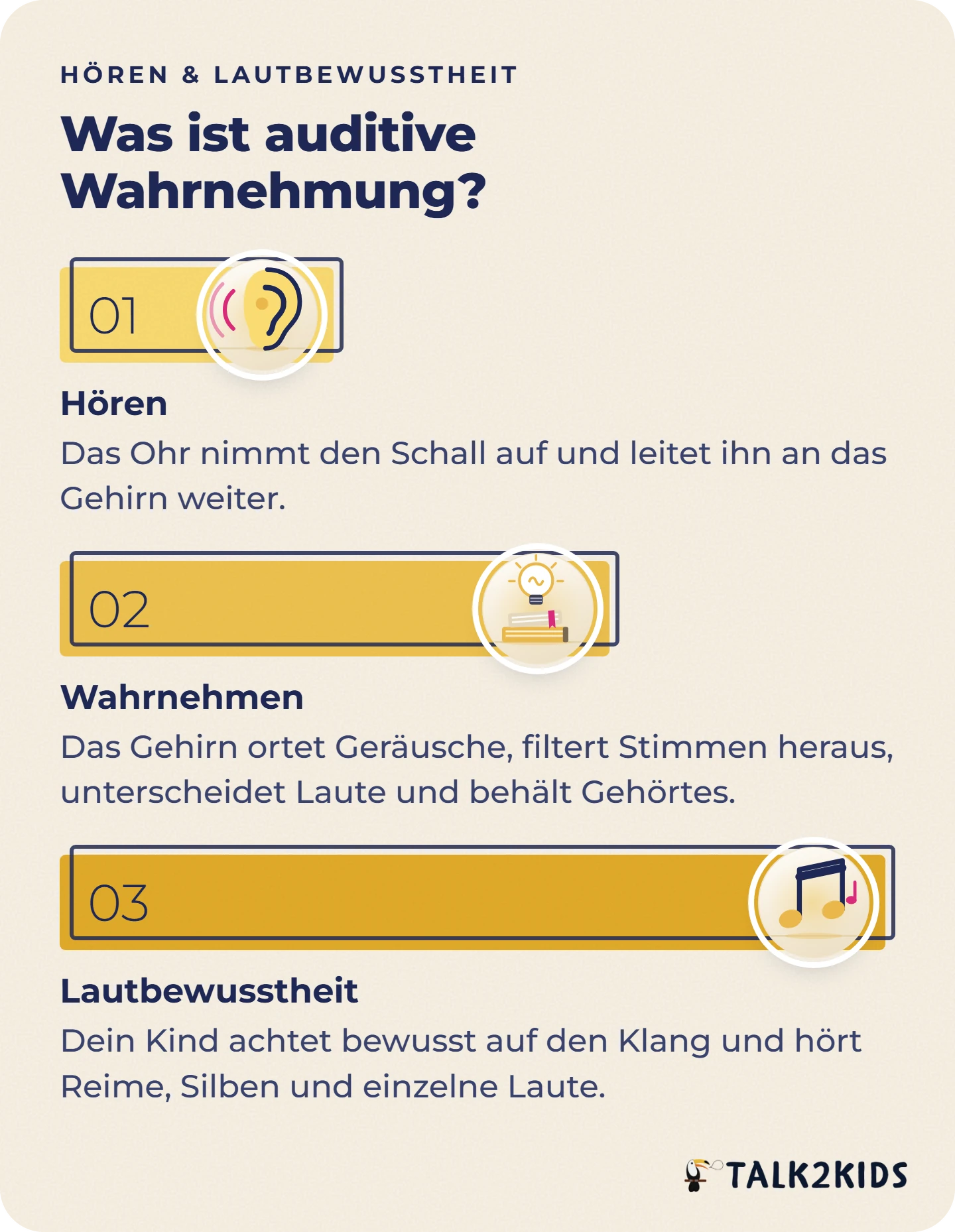 Stufenmodell in drei Stufen: Hören mit dem Ohr, Wahrnehmen im Gehirn und Lautbewusstheit.